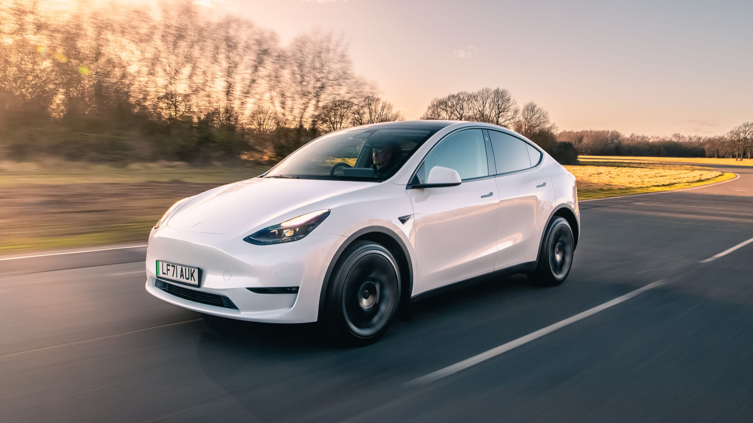 Tesla Model Y Reviews